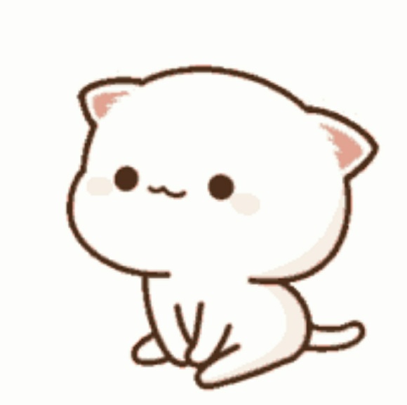 thatcatlady47
